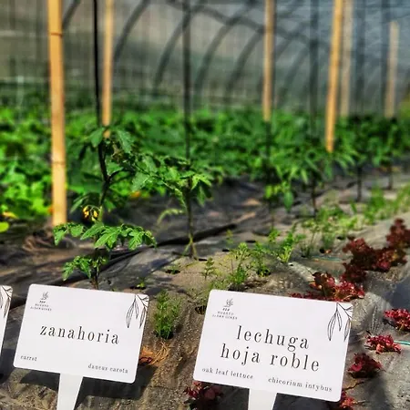 Augusta Eco Wellness 4 Superior 4* Sanxenxo