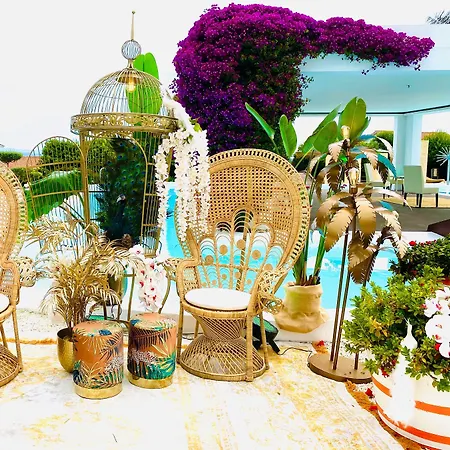 Augusta Eco Wellness 4 Superior