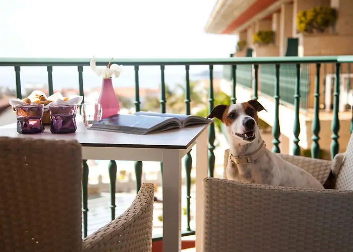 Augusta Eco Wellness 4 Superior Hotel 4*